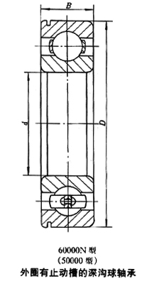 61810N